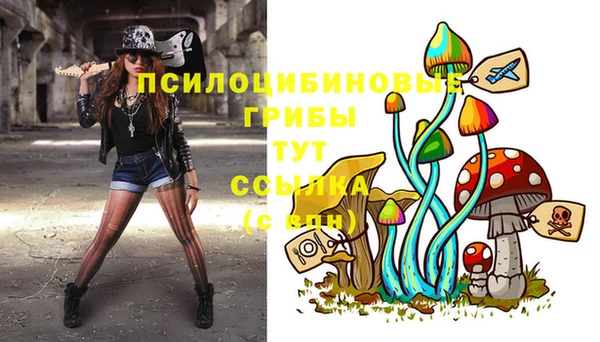 хмурый Протвино