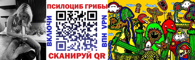 Псилоцибиновые грибы Psilocybe  где продают   МЕГА сайт  Сасово 